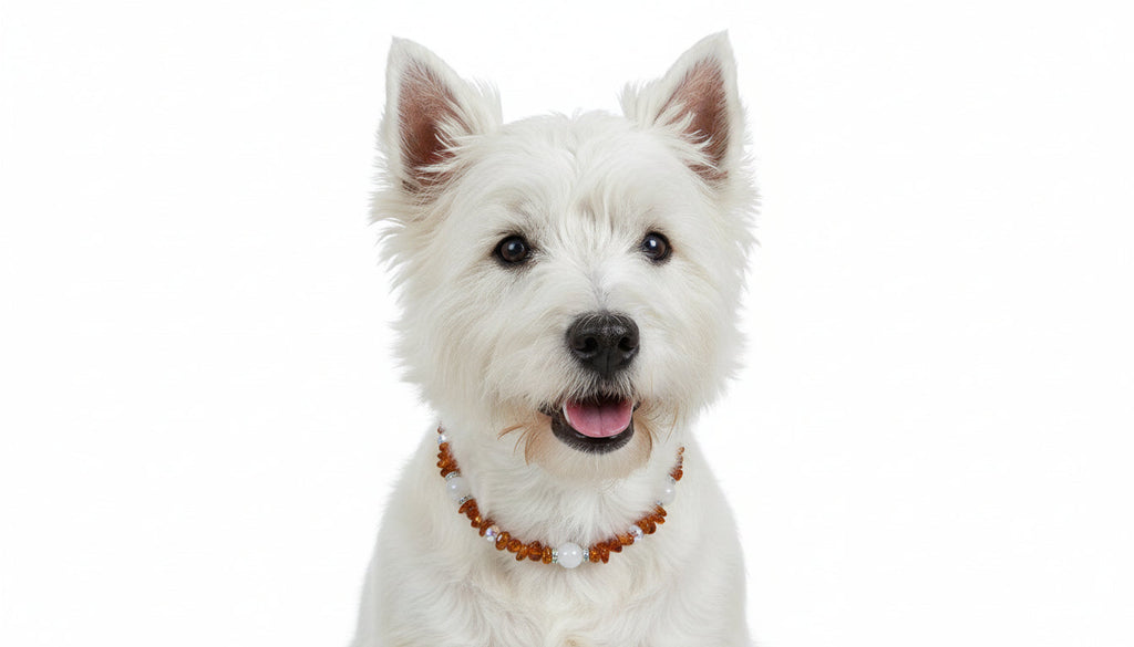 amberdog - Bernsteinkette Hund Rosenquarz & Swari Länge 37cm