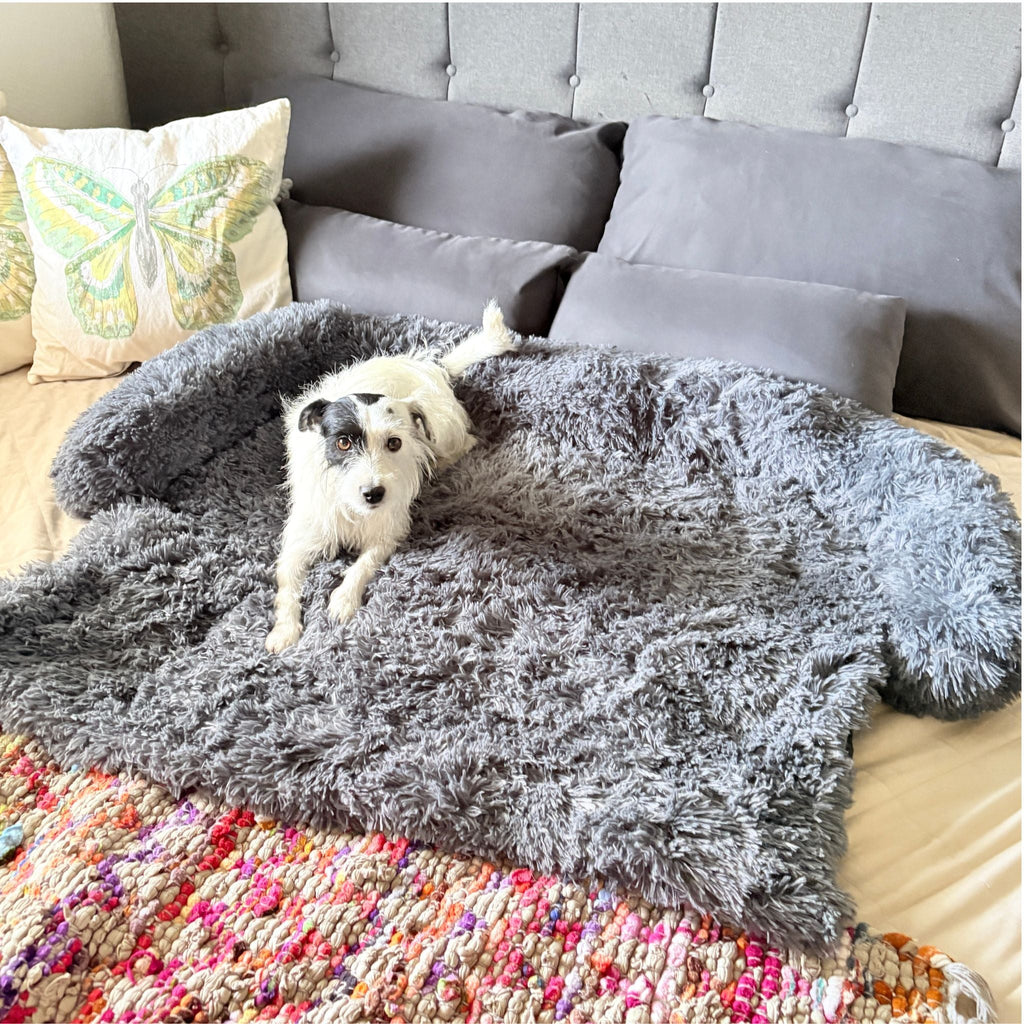Hundebett "Balu" kuschelig weiche & waschbare Auflage – mit hohem Rand für Auto & Sofa