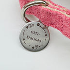 Hundehalsband-Set "Hempy" - Halsband + Leine + gravierte Hundemarke