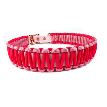 Hundehalsband Lori Tierluxe - Handgemacht, Paracord, Biothane