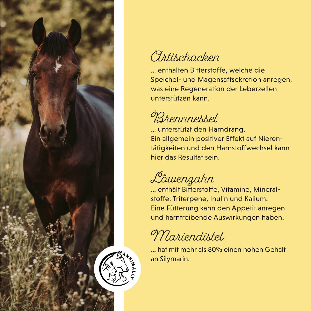 Annimally - LEBER-NIEREN LIQUID