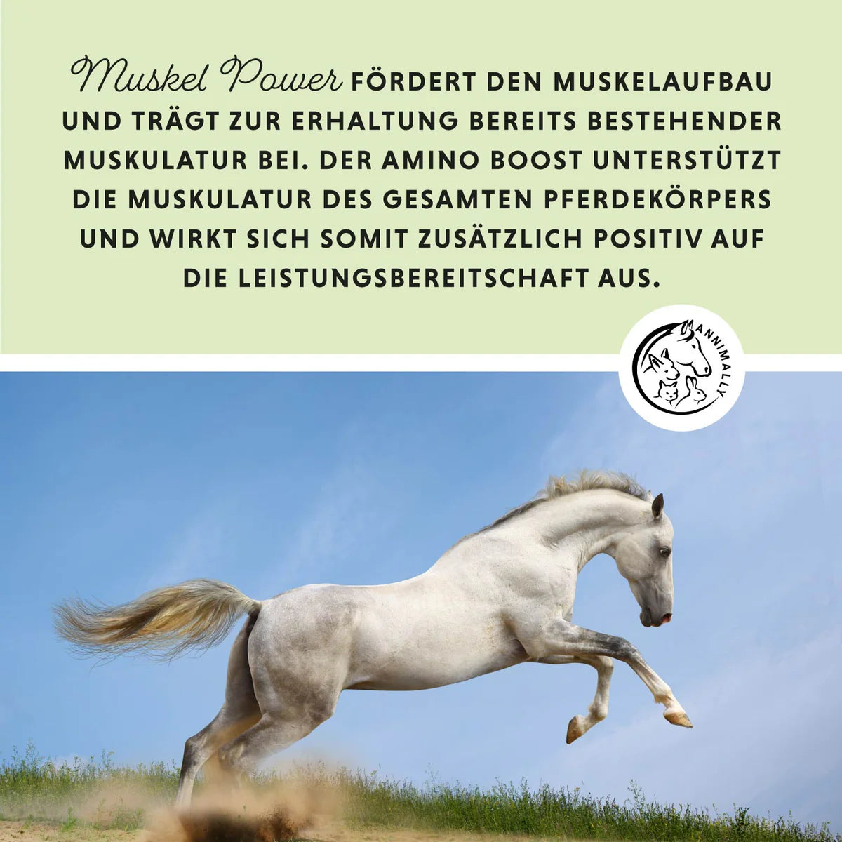 Annimally - Muskelpower Pulver 700g