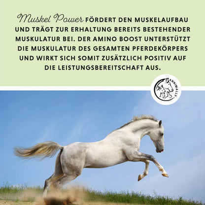 Annimally - Muskelpower Pulver 700g