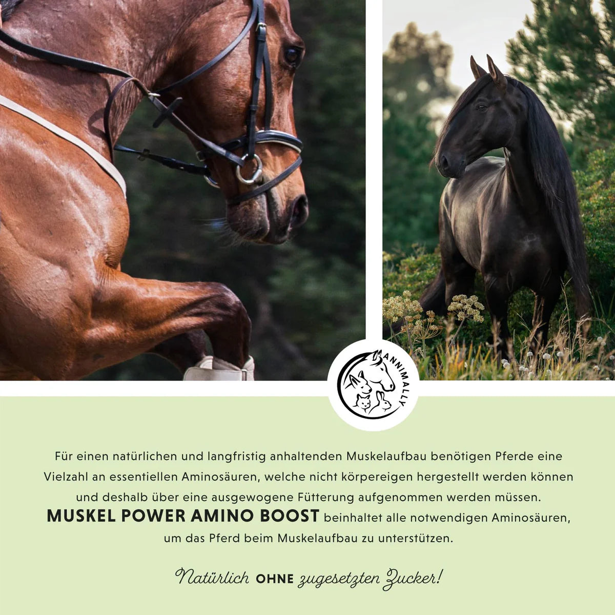 Annimally - Muskelpower Pulver 700g