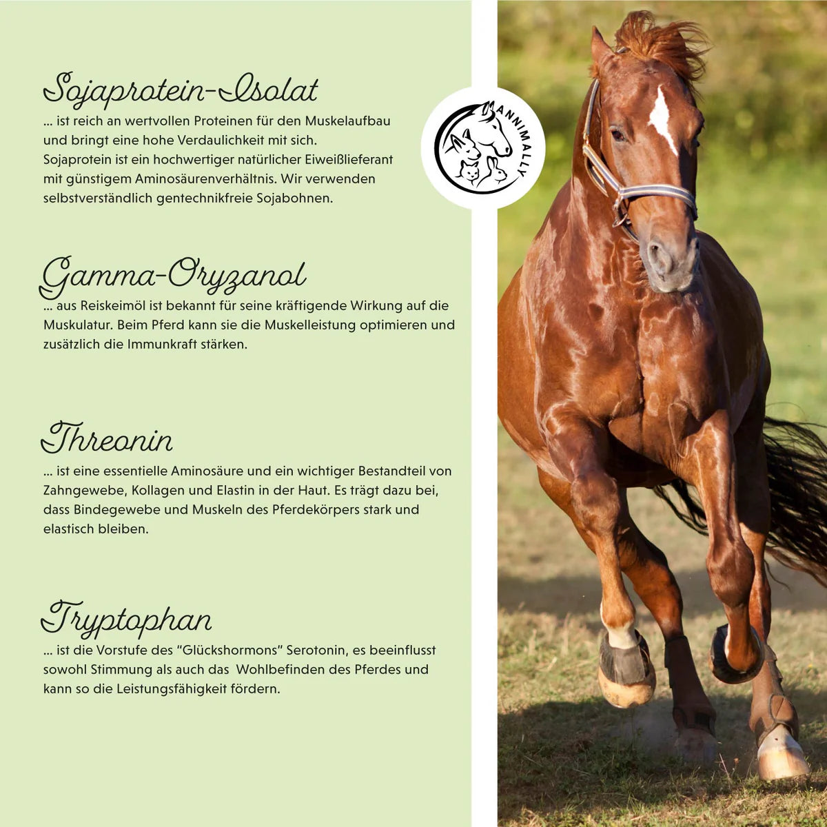 Annimally - Muskelpower Pulver 700g