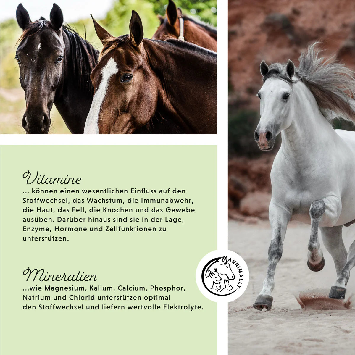 Annimally - Mineralfutter Sport & Leistung - 3KG