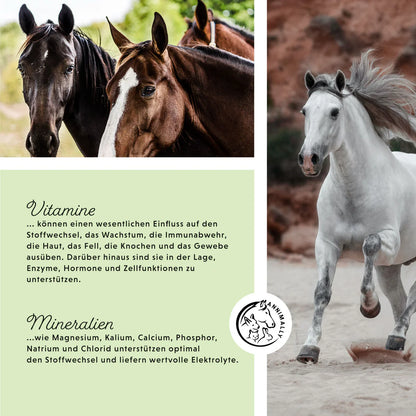 Annimally - Mineralfutter Sport & Leistung - 3KG