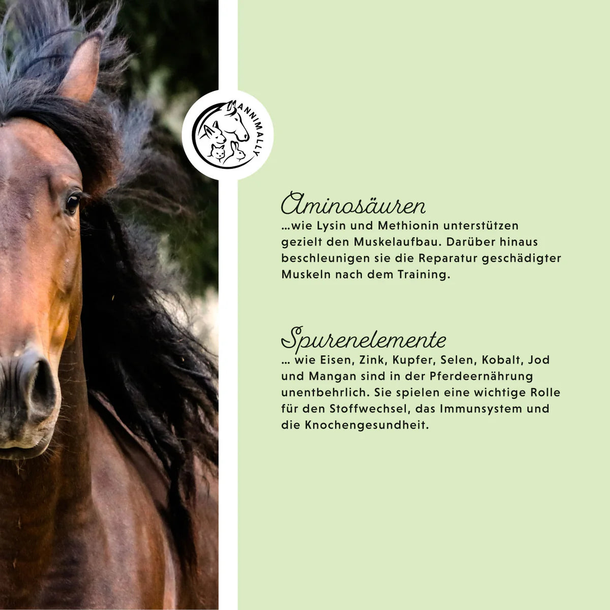 Annimally - Mineralfutter Sport & Leistung - 3KG