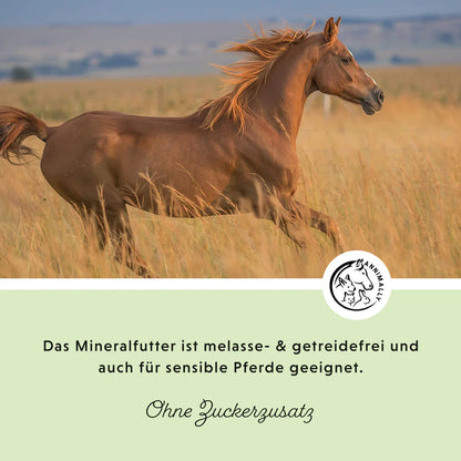 Annimally - Mineralfutter Sport & Leistung - 3KG