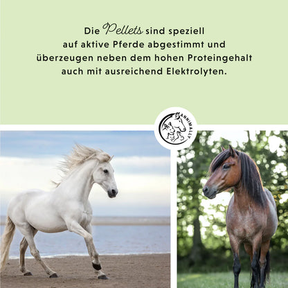 Annimally - Mineralfutter Sport & Leistung - 3KG