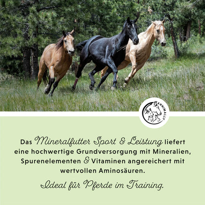 Annimally - Mineralfutter Sport & Leistung - 3KG