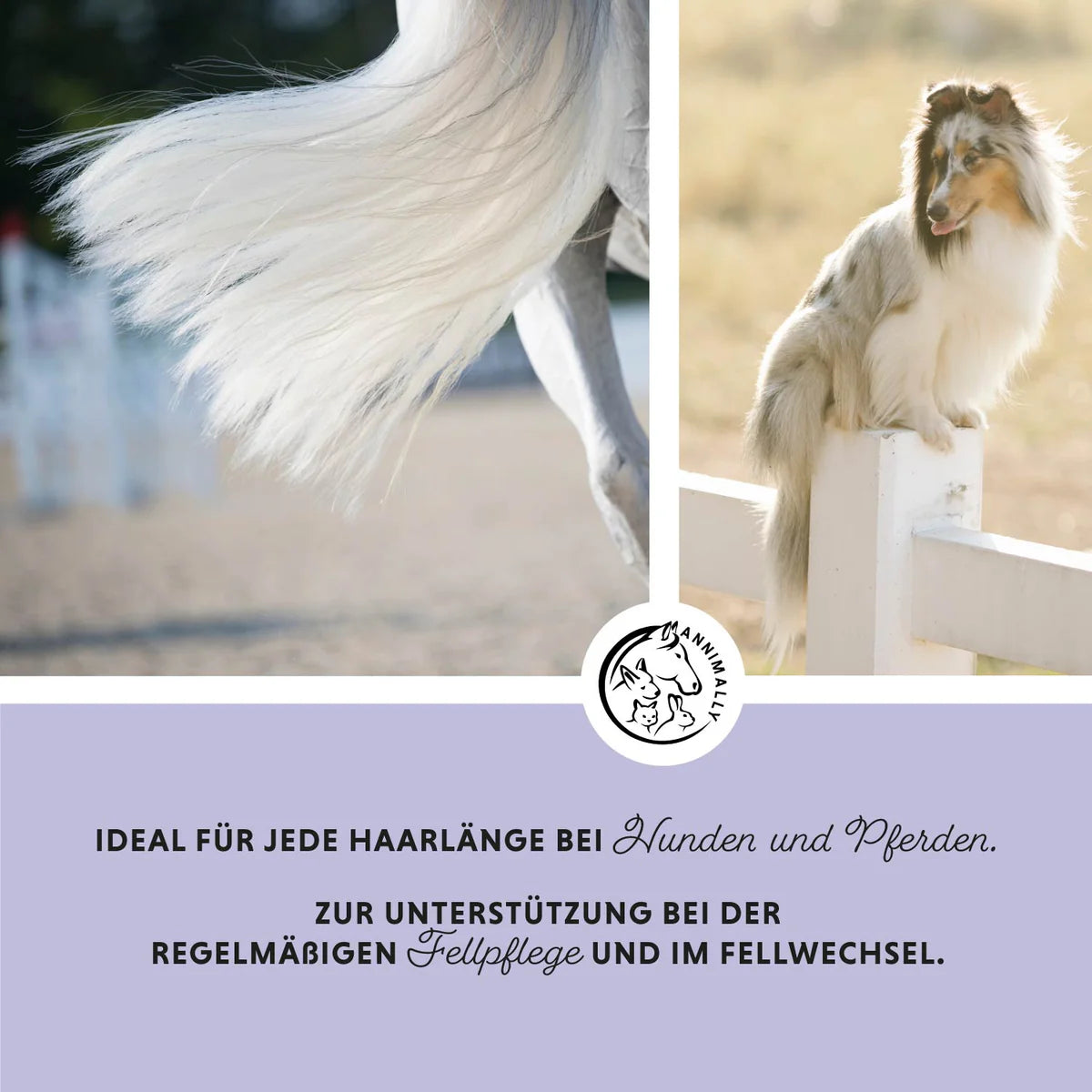 Annimally - Haircare Pro 500ml