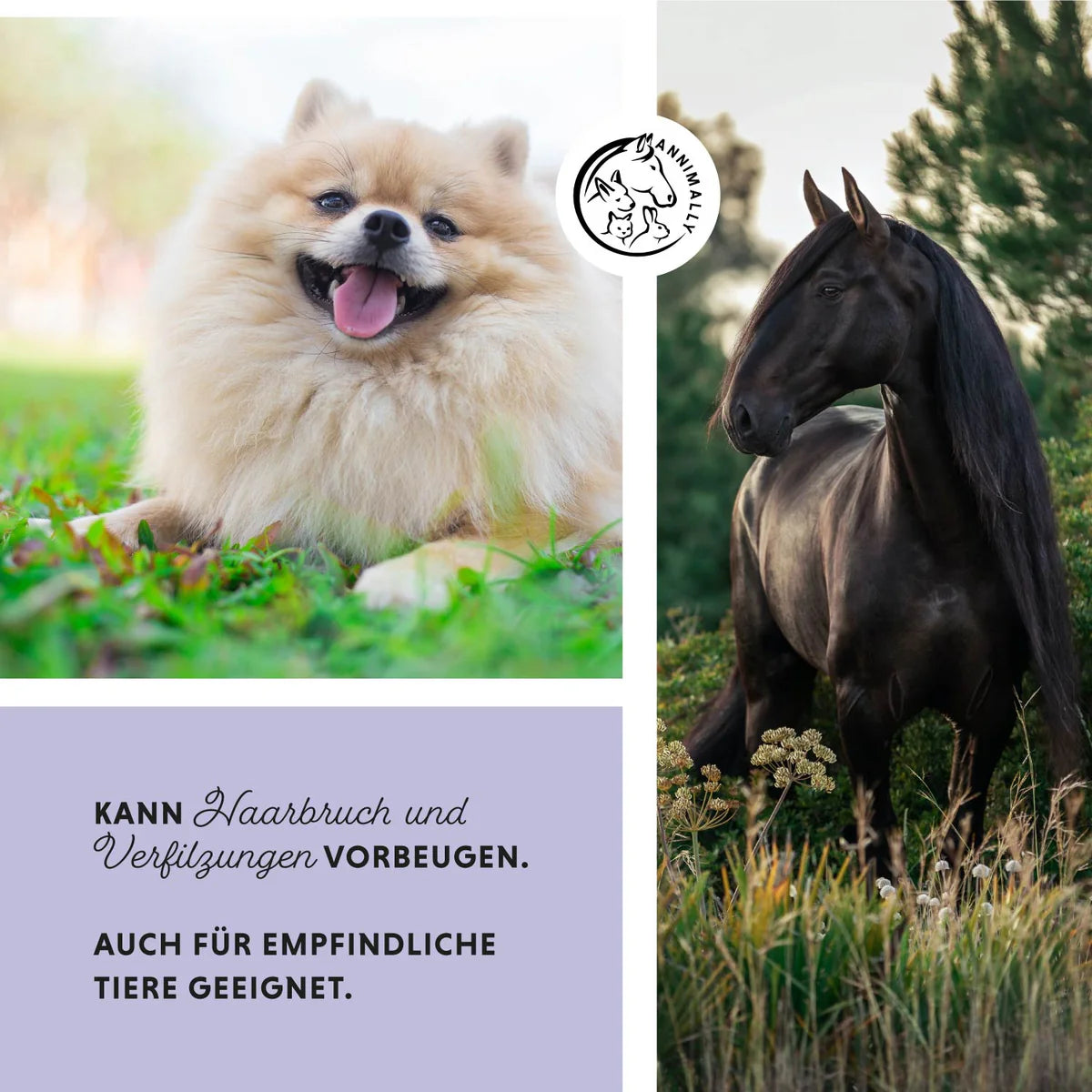 Annimally - Haircare Pro 500ml