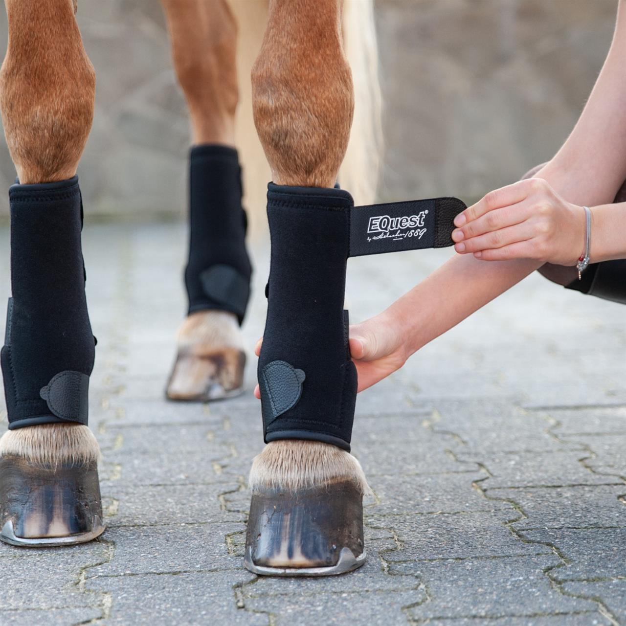 Equest - Fesselkopf Gamaschen 2-er Set vorne