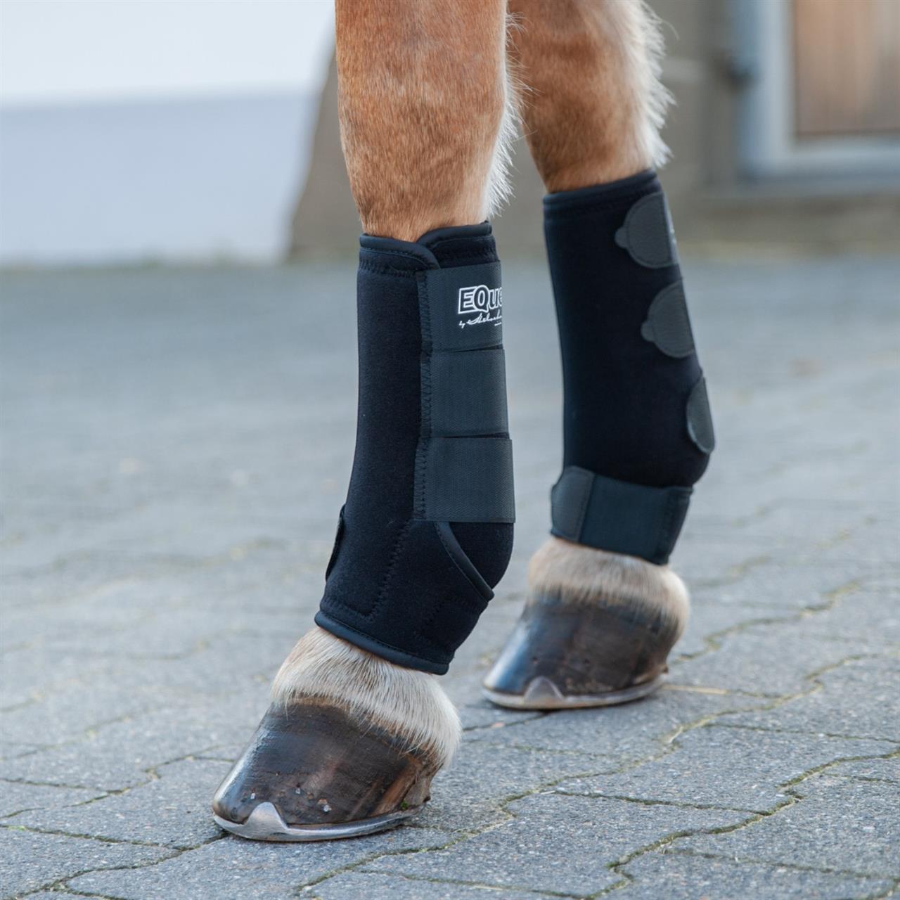 Equest - Fesselkopf Gamaschen 2-er Set vorne