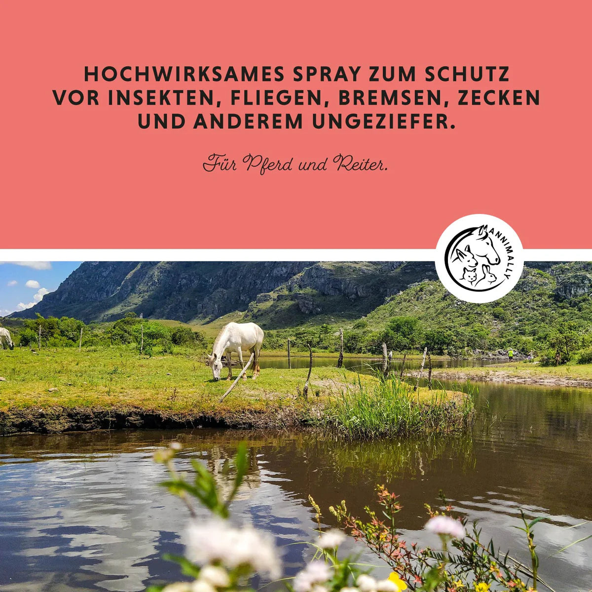 Annimally - Insekten Stopp