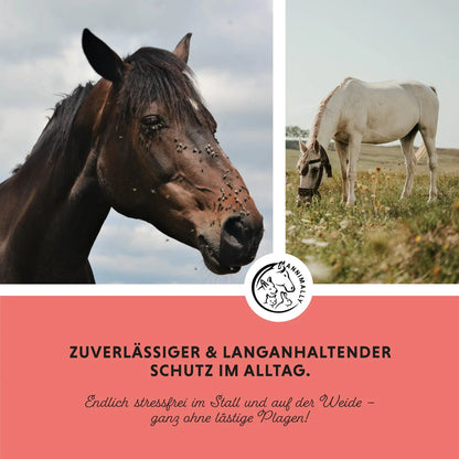 Annimally - Insekten Stopp