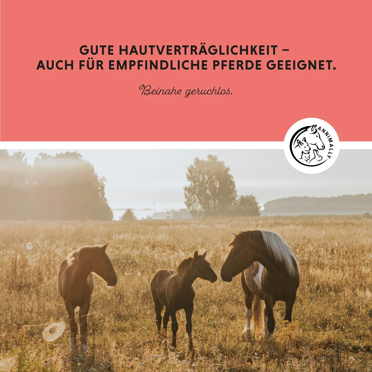 Annimally - Insekten Stopp