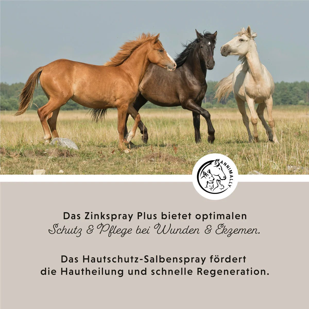 Annimally -  Zinkspray Plus 200ml