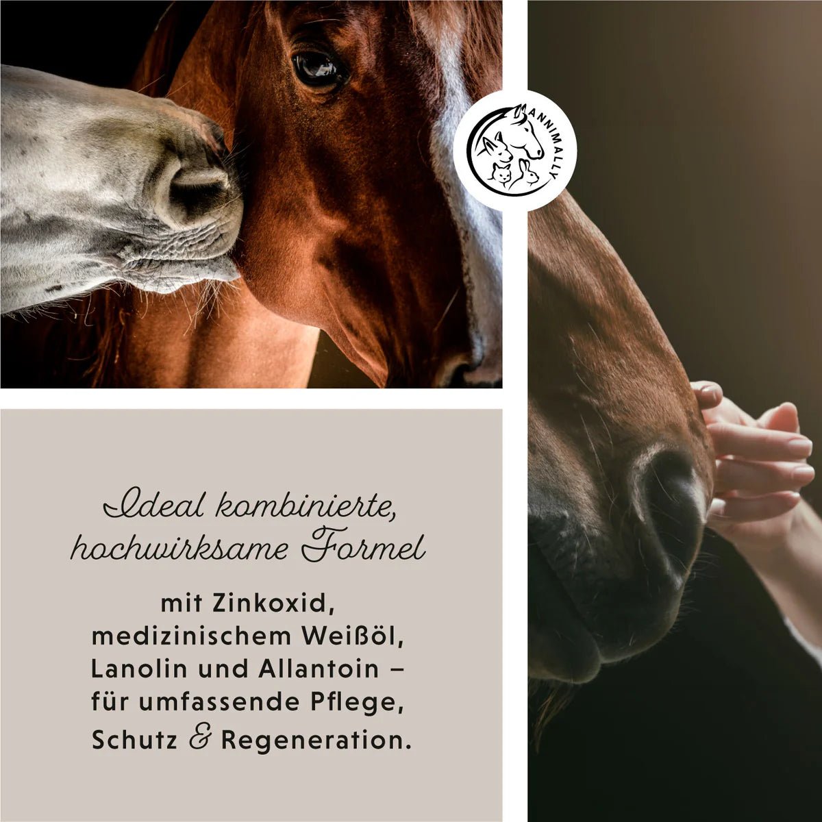 Annimally -  Zinkspray Plus 200ml