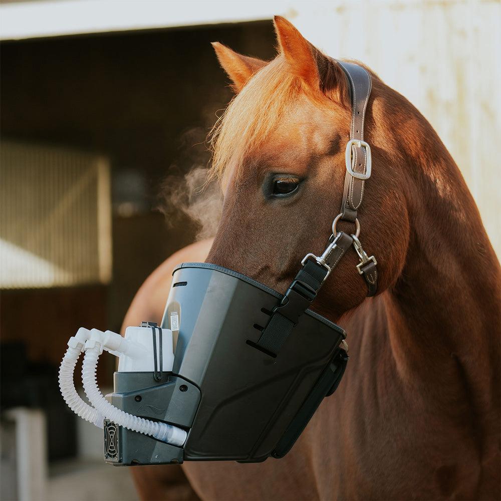 Medizintechnik Hartwig GmbH - Inhalator für Pferde equosonic free Starterpaket