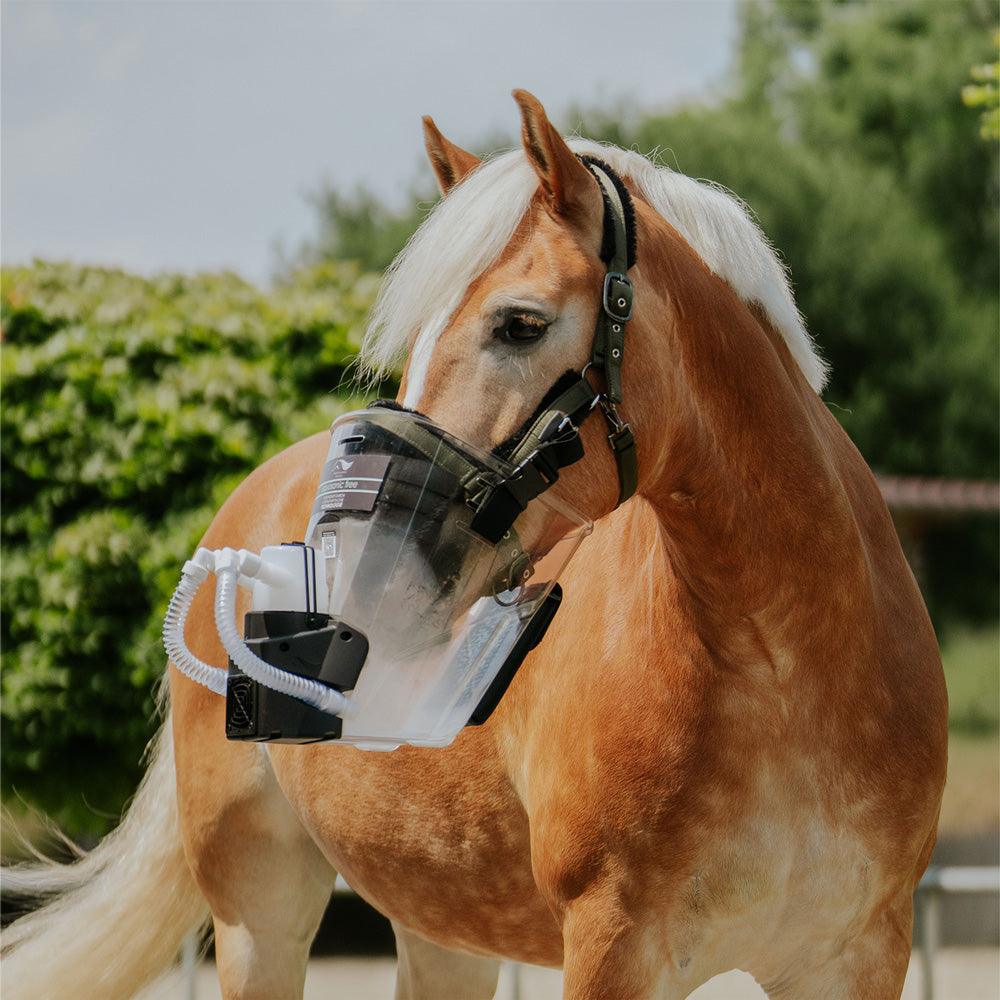 Medizintechnik Hartwig GmbH - Inhalator für Pferde equosonic free Starterpaket