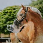Medizintechnik Hartwig GmbH - Inhalator für Pferde equosonic free Starterpaket
