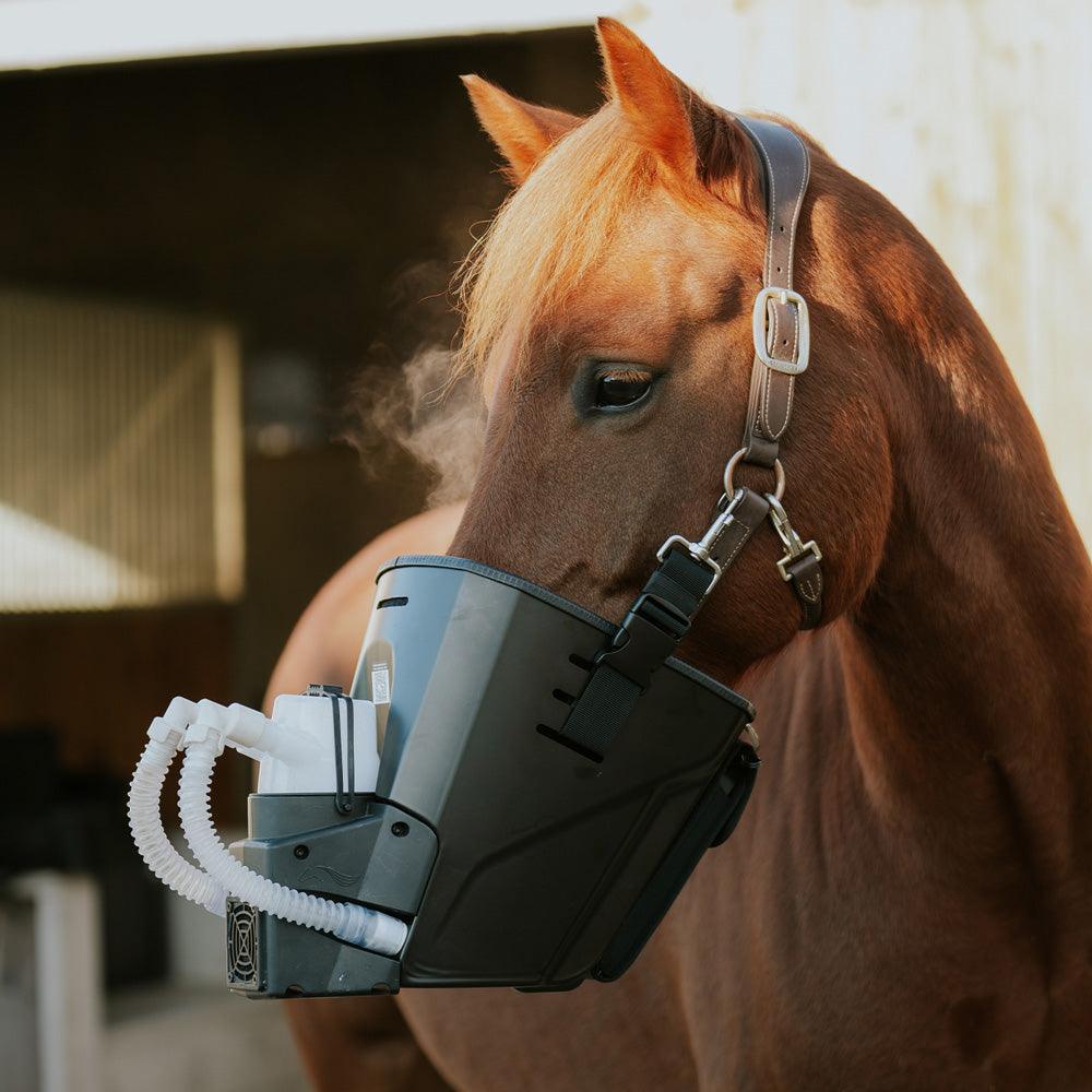 Medizintechnik Hartwig GmbH - Inhalator für Pferde equosonic free Starterpaket