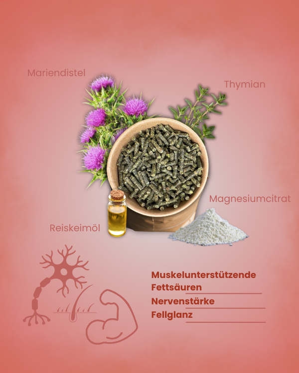 Krähenbusch® - Mineralfutter Sport