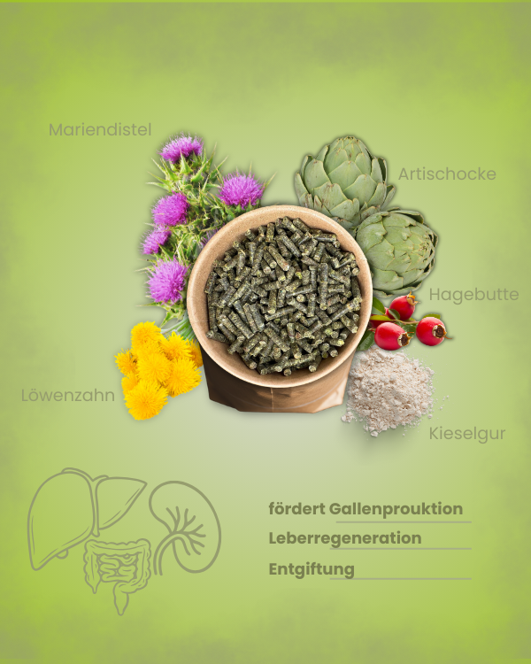 Krähenbusch® -  Mineral Stoffwechsel