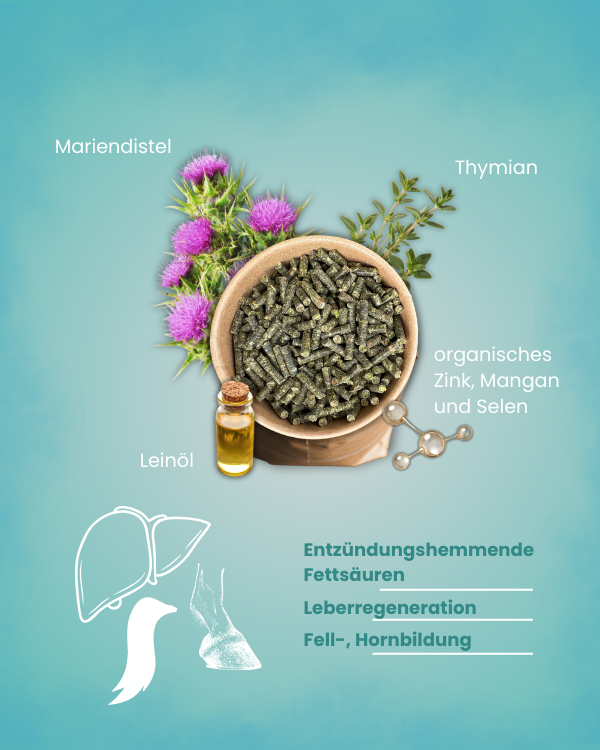 Krähenbusch® - Mineralfutter Organisch
