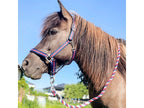 Icelandic Horse - Halfter Island mit Polsterung und Führstrick
