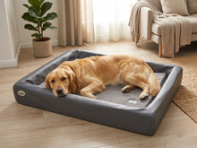 Orthopädisch-Plus Bundle | KUDDE Hundebett + Mumin Einlage Alltid