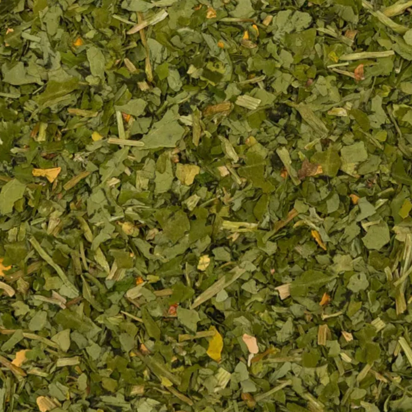 Kapuzinerkresse Pferd 1kg