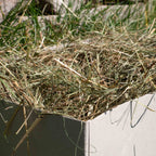 Naturwiesenheu Basic