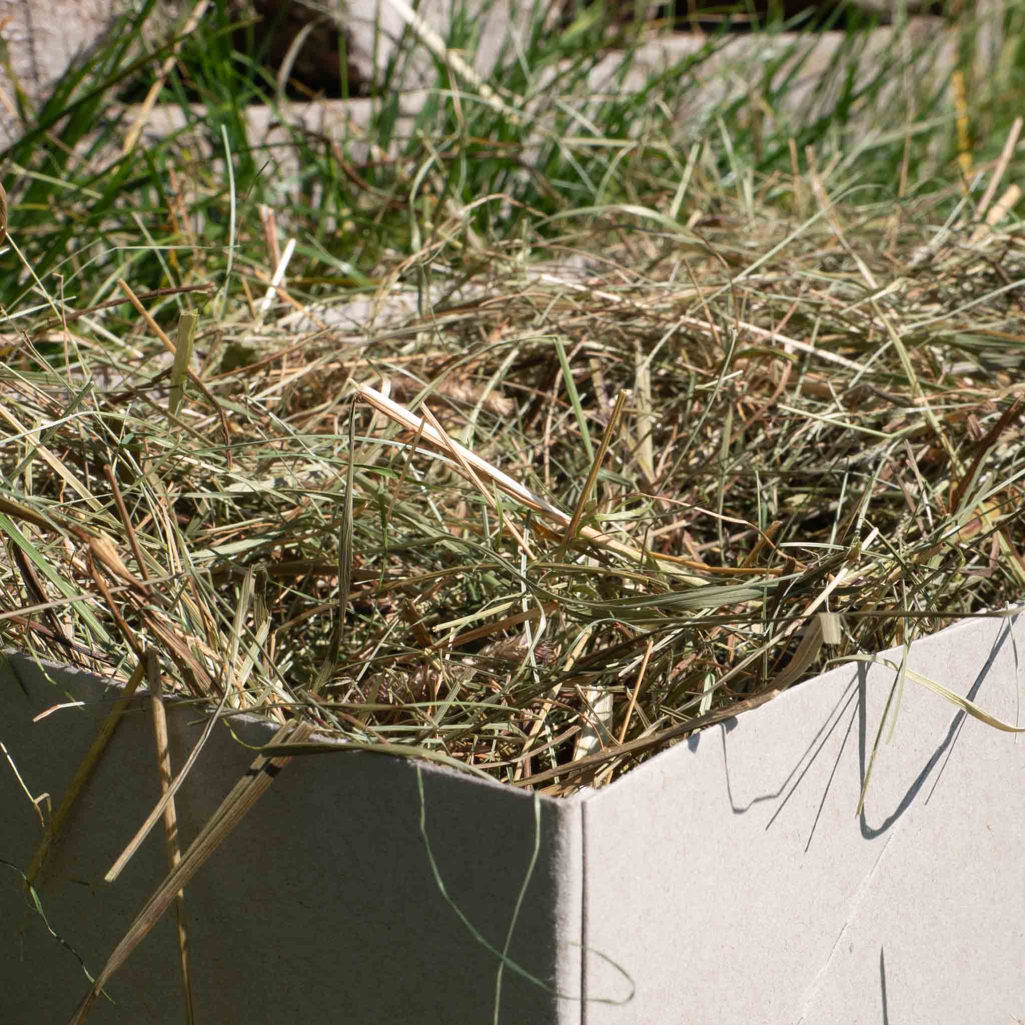 Naturwiesenheu Basic