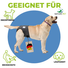 Läufigkeitshose für Hündinnen