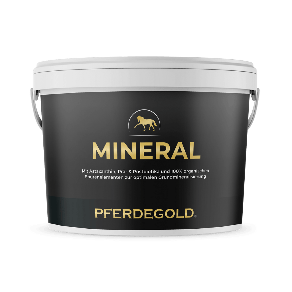 Pferdegold - Mineral 2.0