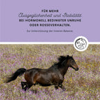 Annimally - Mönchspfeffer Liquid 1L