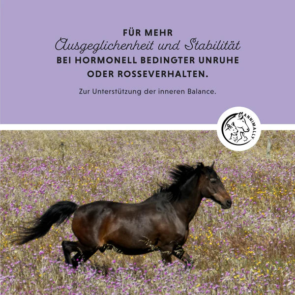 Annimally - Mönchspfeffer Liquid 1L