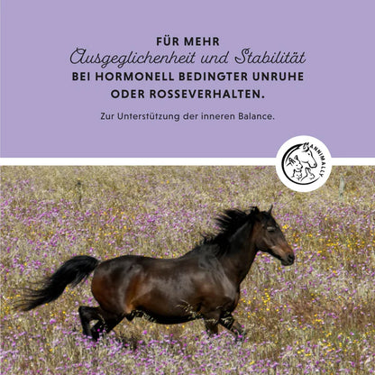Annimally - Mönchspfeffer Liquid 1L