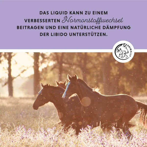 Annimally - Mönchspfeffer Liquid 1L