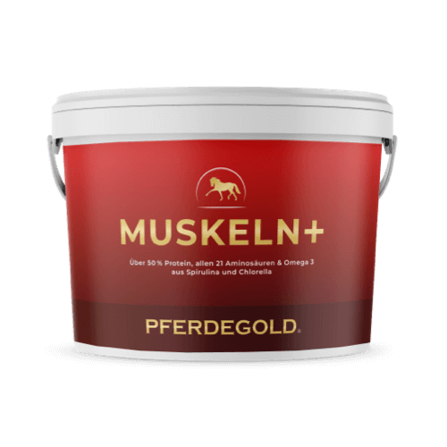 Pferdegold - Muskeln+ 2.0