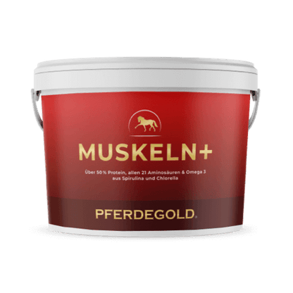 Pferdegold - Muskeln+ 2.0