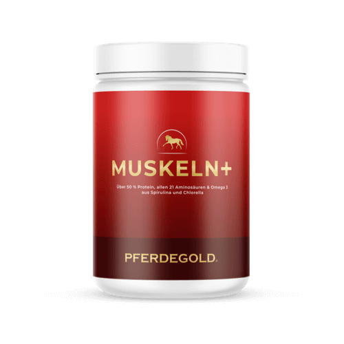Pferdegold - Muskeln+ 2.0