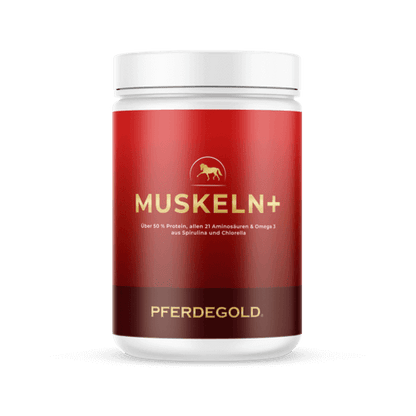Pferdegold - Muskeln+ 2.0