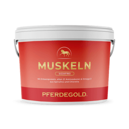Pferdegold - Muskeln 2.0 Sojafrei