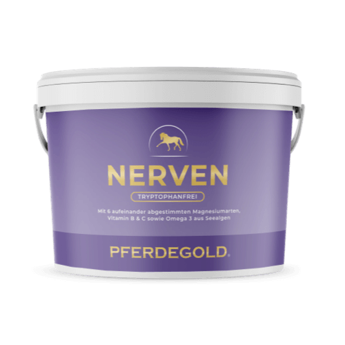 Pferdegold - Nerven 2.0