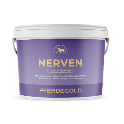 Pferdegold - Nerven 2.0