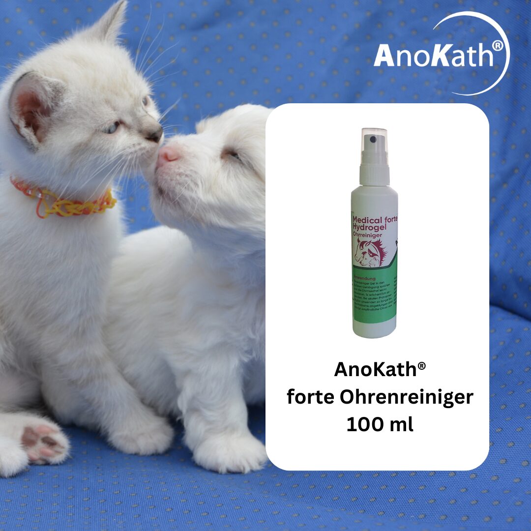 Ohrenreiniger für Hunde, Katzen und weitere Haustiere